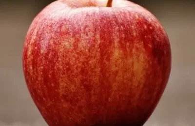 this image shows a red apple